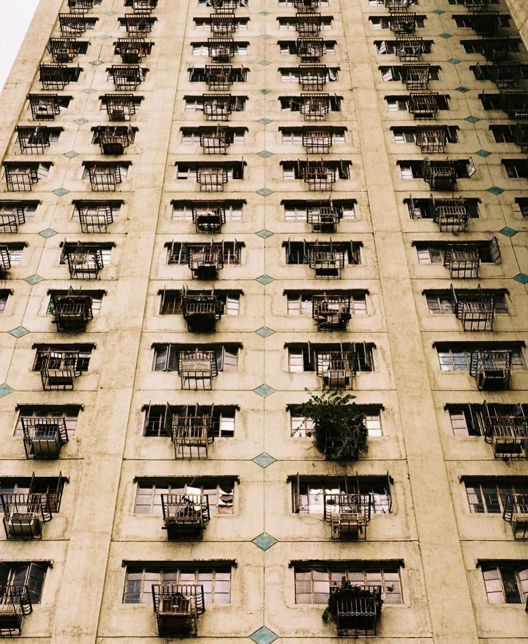 1000019140.jpg