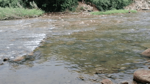 VID_20230924_17-1695792961645.gif