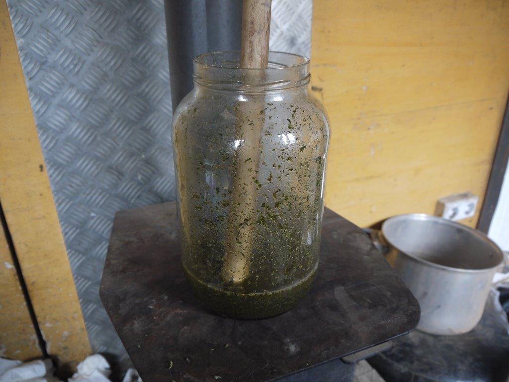 P1120190.jpg
