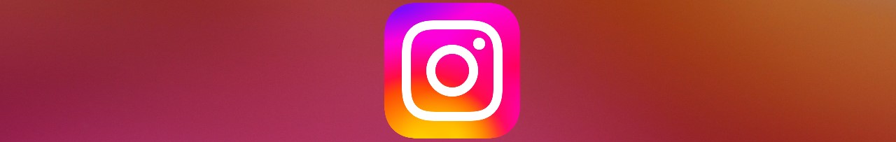 instagram grasshopper-2731474_1280.jpg