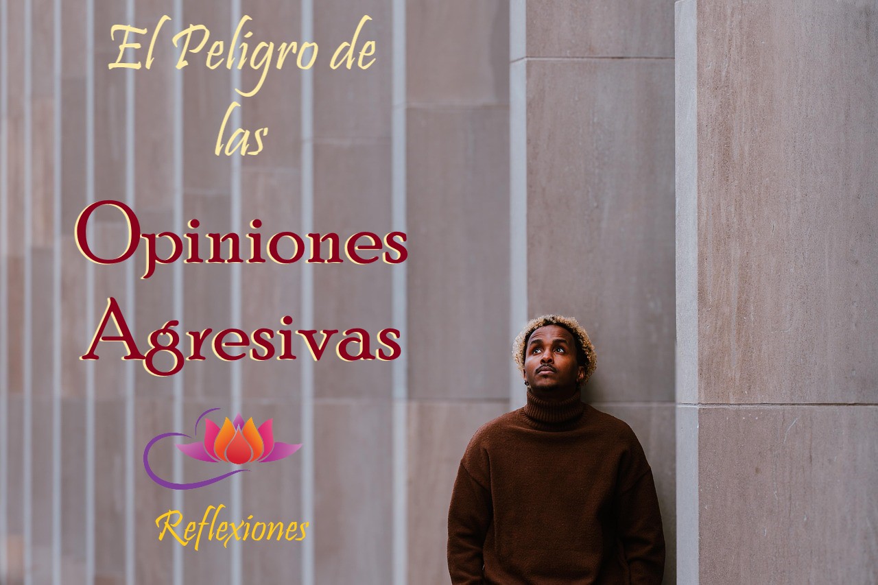 español man-8520043_1280.jpg