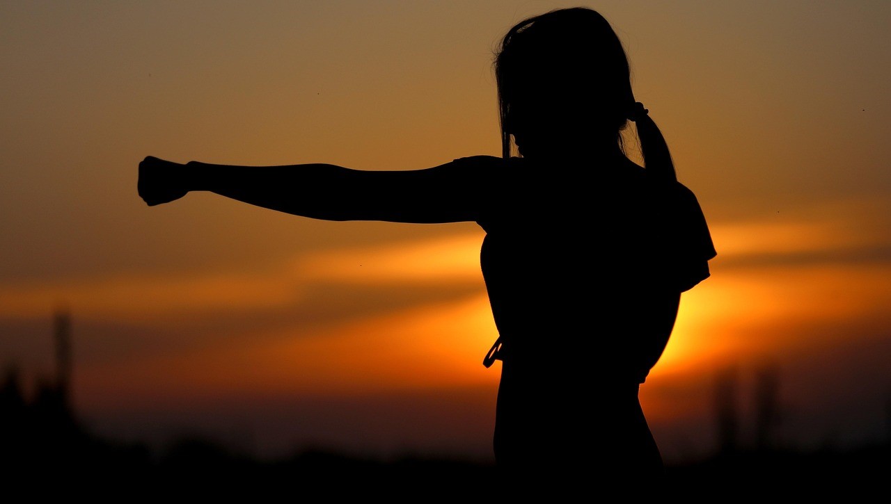 karate-2578819_1280.jpg
