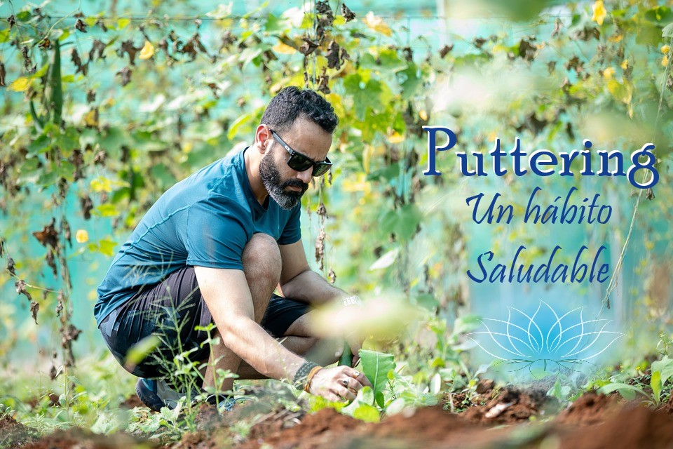 español agriculture-6942153_960_720.jpg