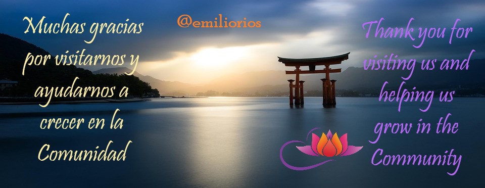 japan-9074037_960_720.jpg