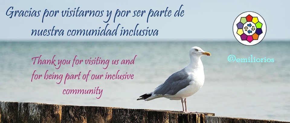 seagull-6542951_960_720.jpg