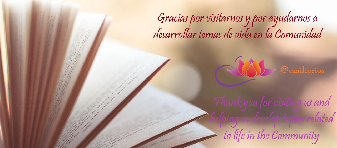 book-1283865_1280.jpg