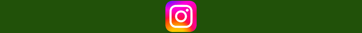 instagram verde .png