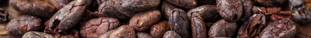 WhatsApp Image 2025-10-31 at 8.52.46 PM.jpeg