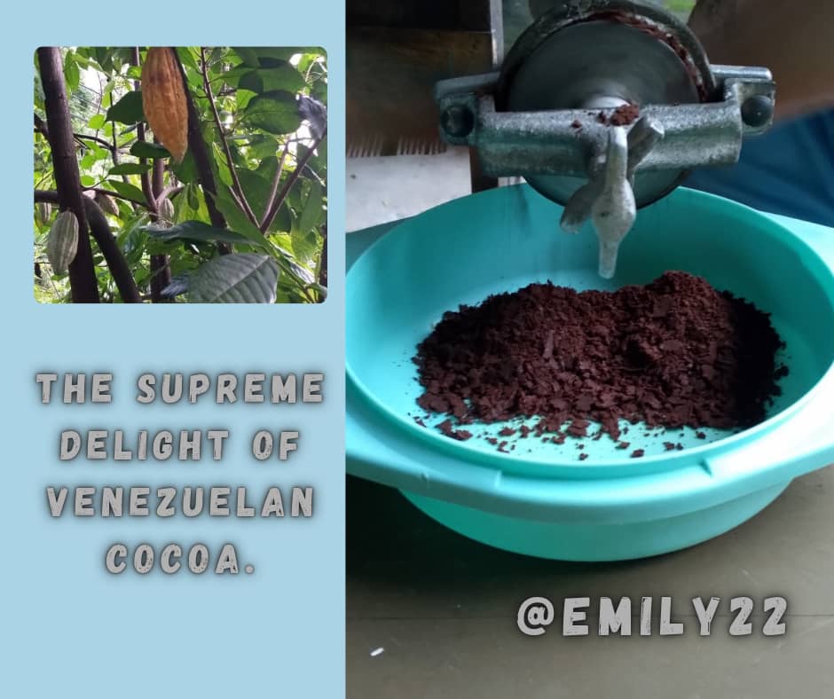 WhatsApp Image 2025-10-31 at 7.51.56 PM.jpeg