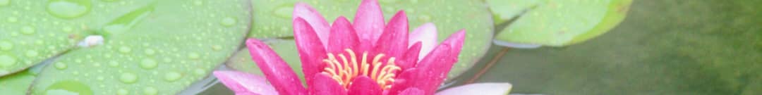 WhatsApp Image 2025-11-01 at 11.50.24 AM.jpeg