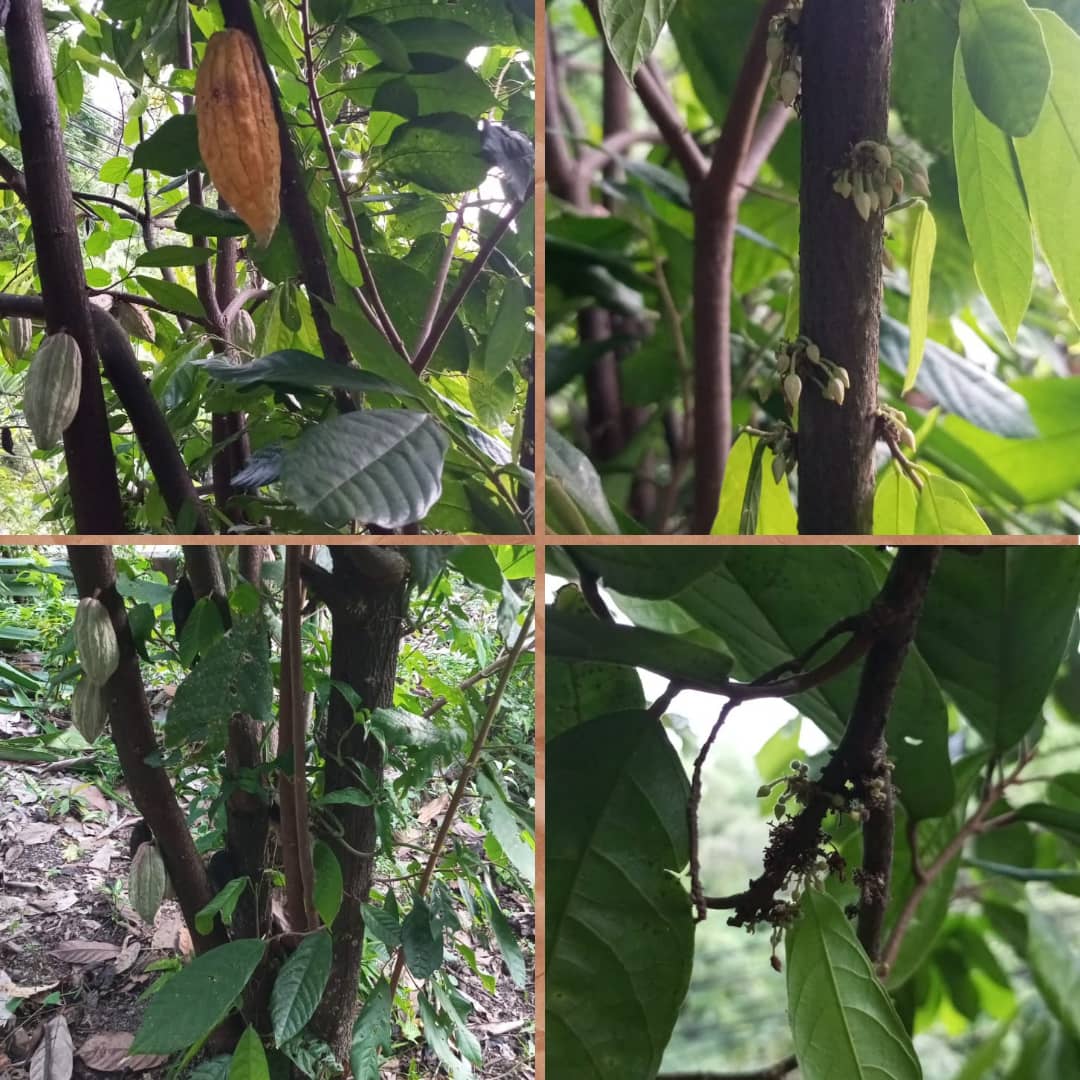 WhatsApp Image 2025-11-01 at 12.41.46 PM.jpeg