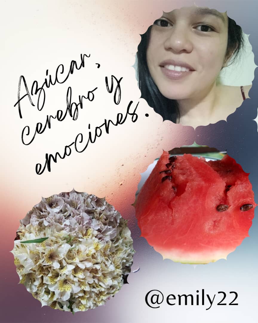 WhatsApp Image 2025-10-31 at 6.45.43 PM.jpeg