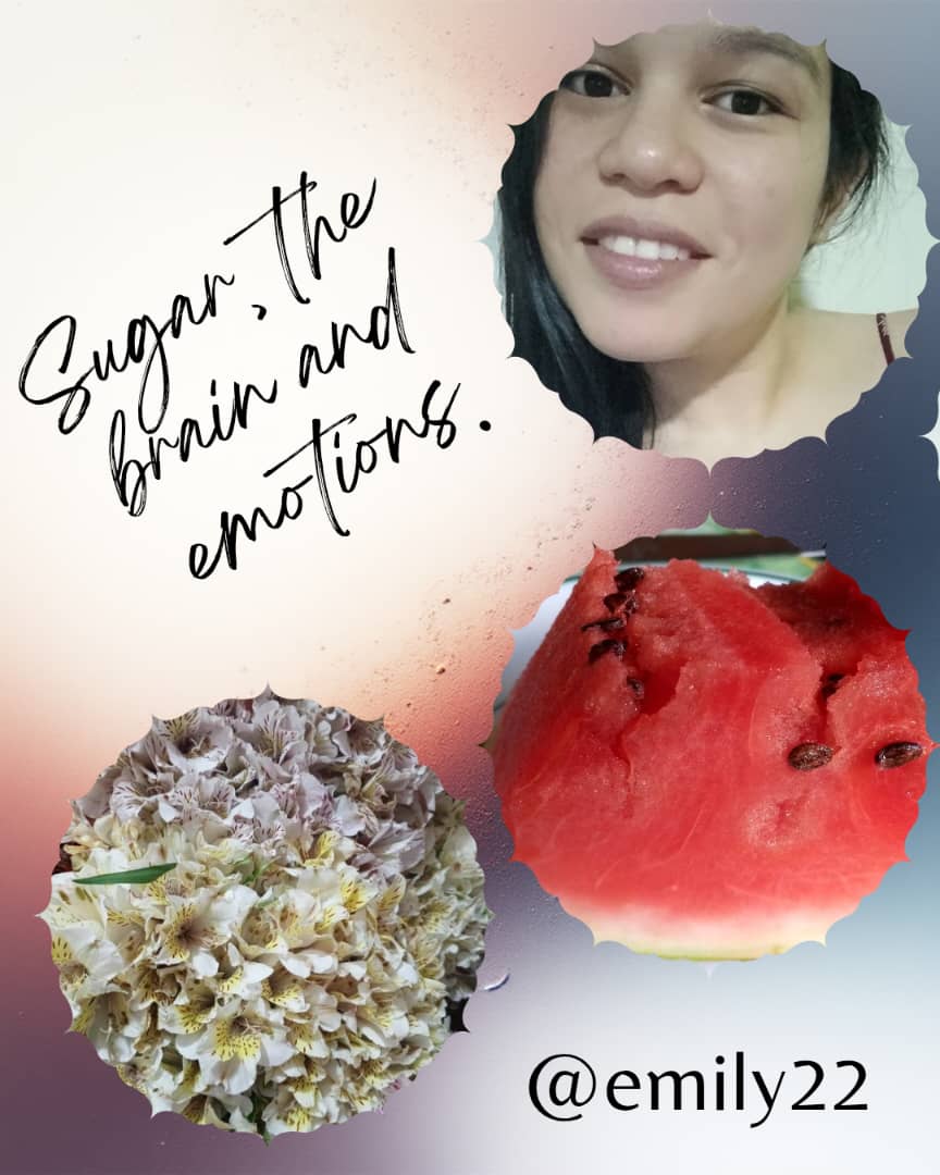 WhatsApp Image 2025-10-31 at 11.30.30 PM.jpeg