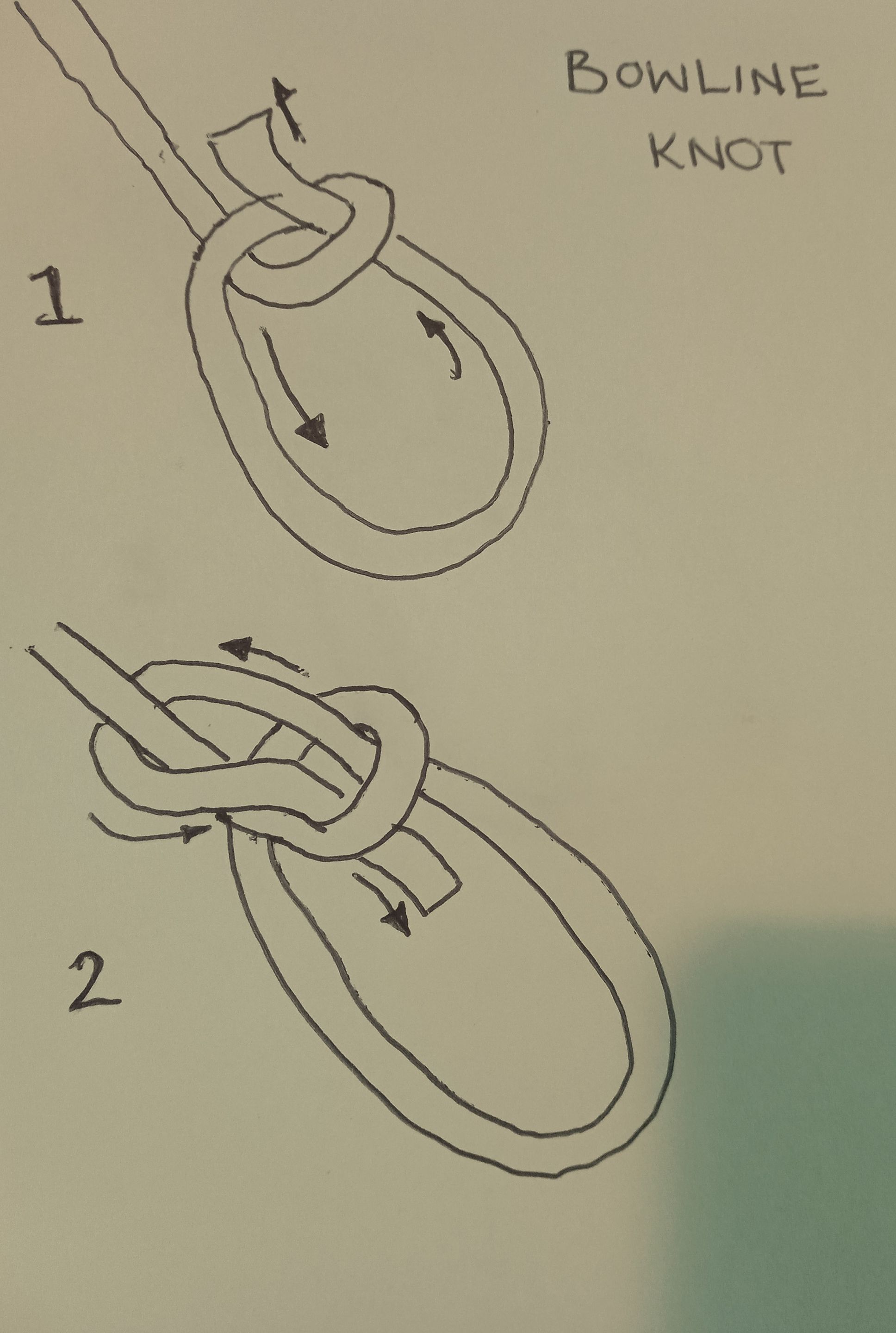 The Bowline Knot2.jpg