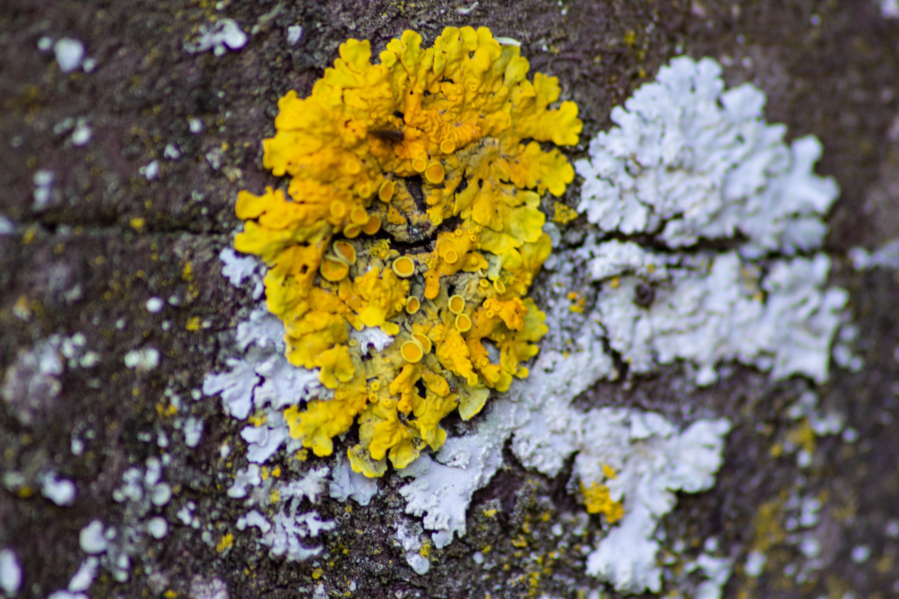 A Hike a day-1-7.jpg