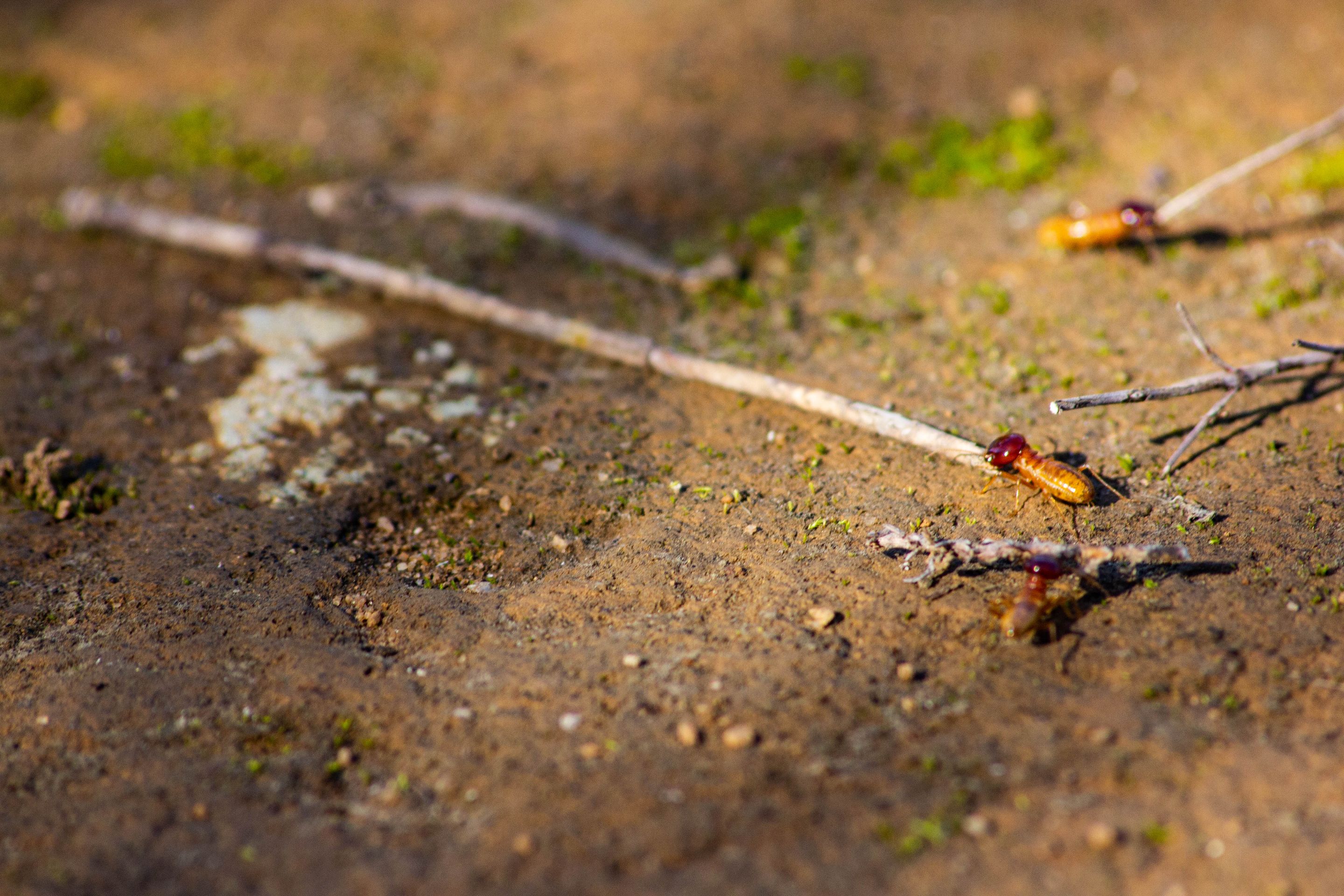 A Hike a day-1-12.jpg