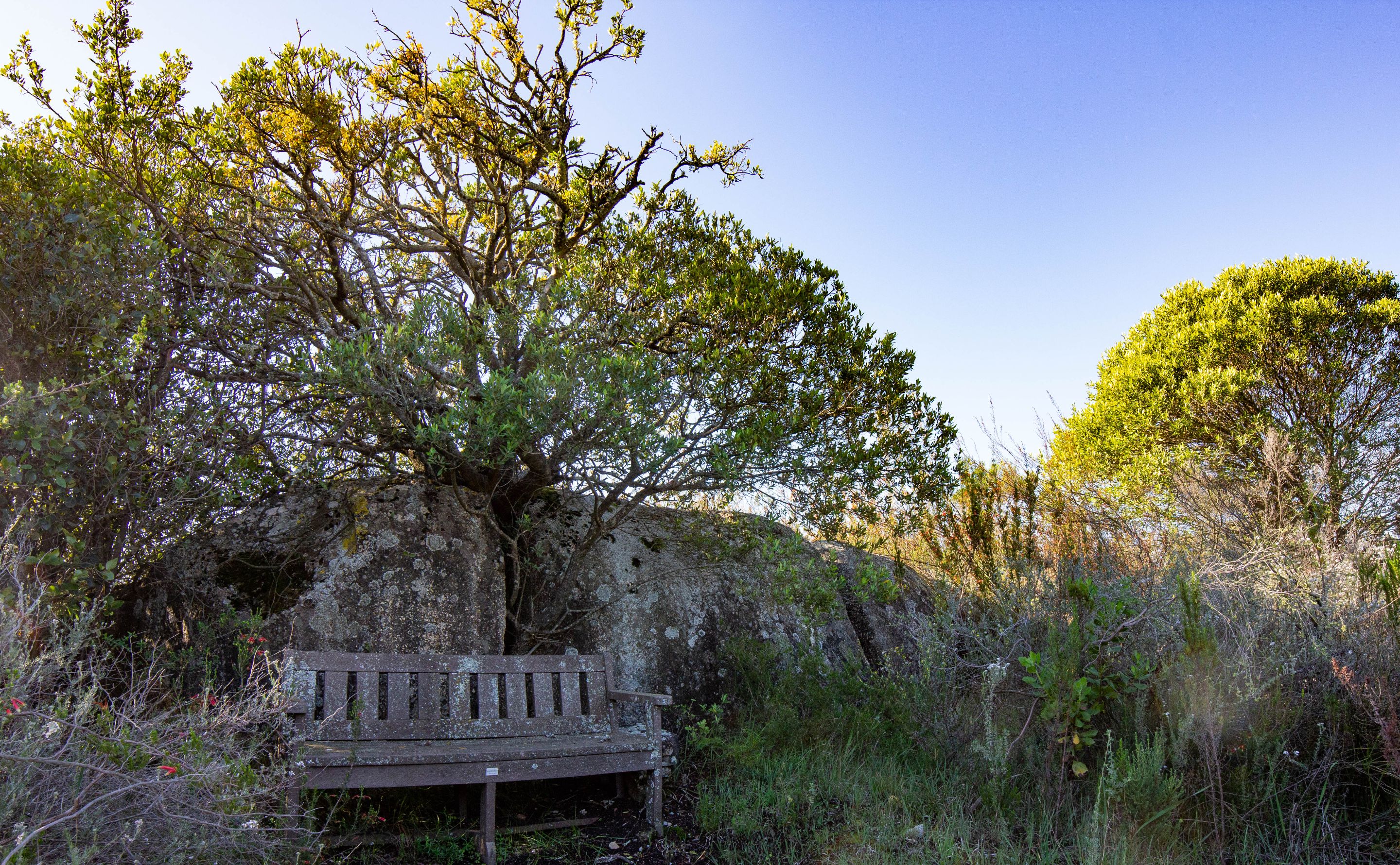 A Hike a day-1-6.jpg