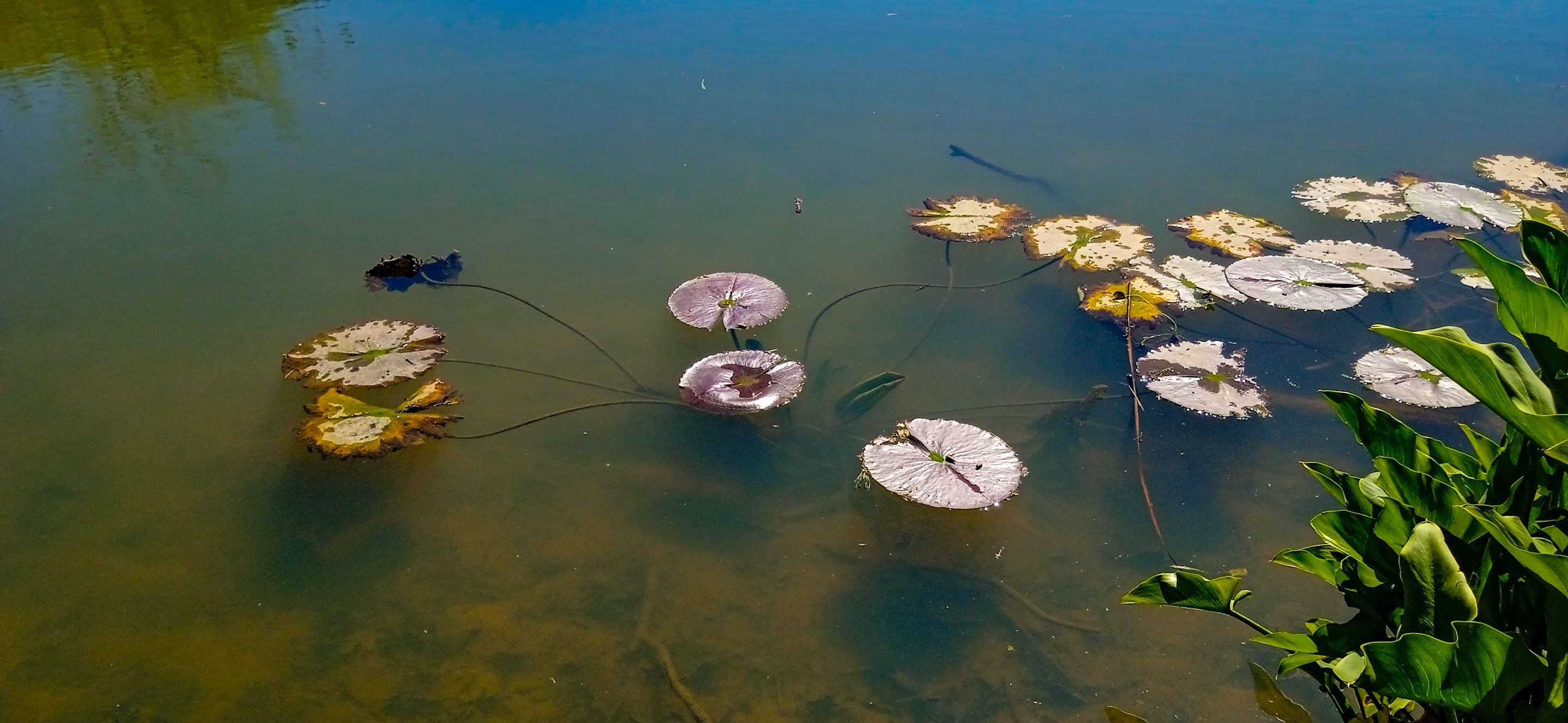 Wednesday Walk-8.jpg