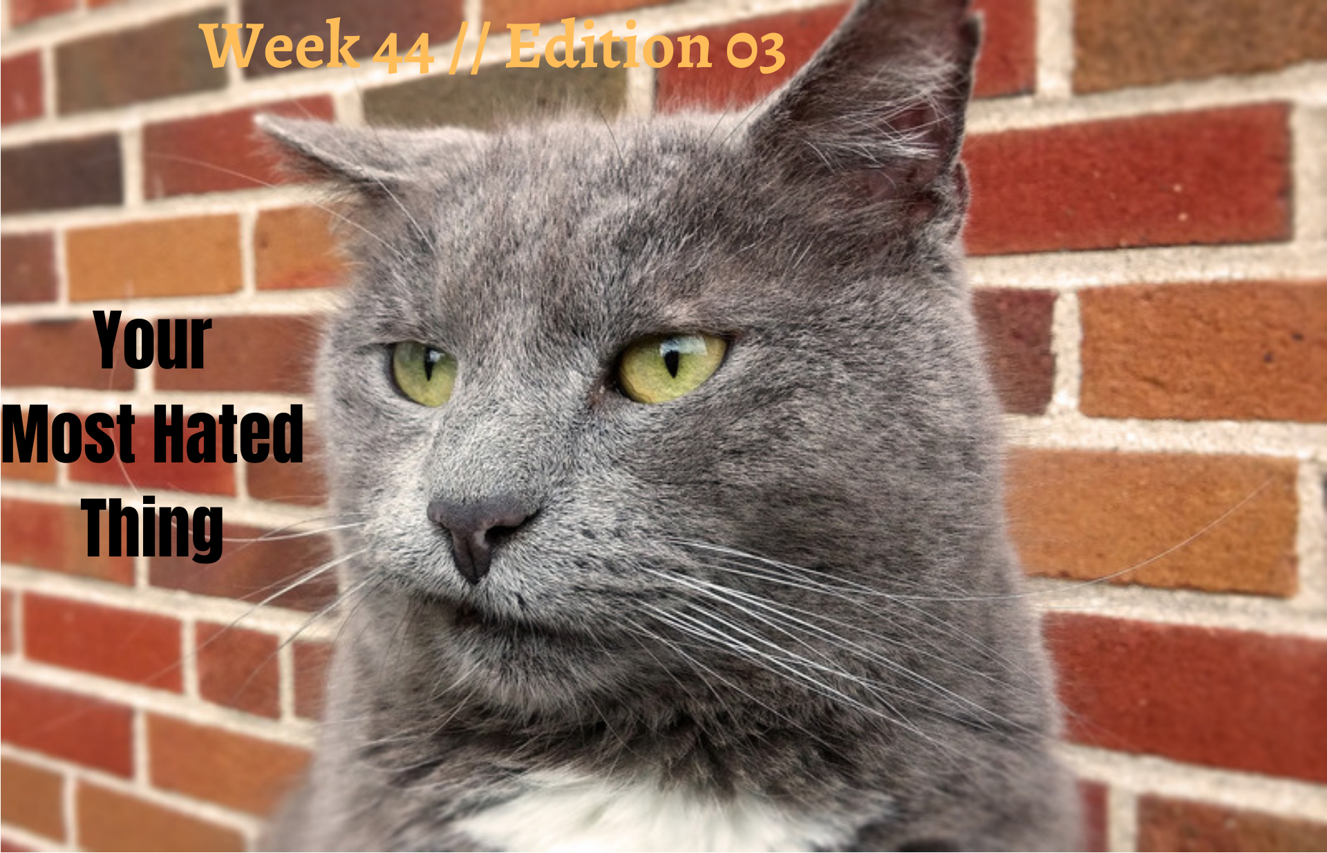 Week 44 Edition 03.png
