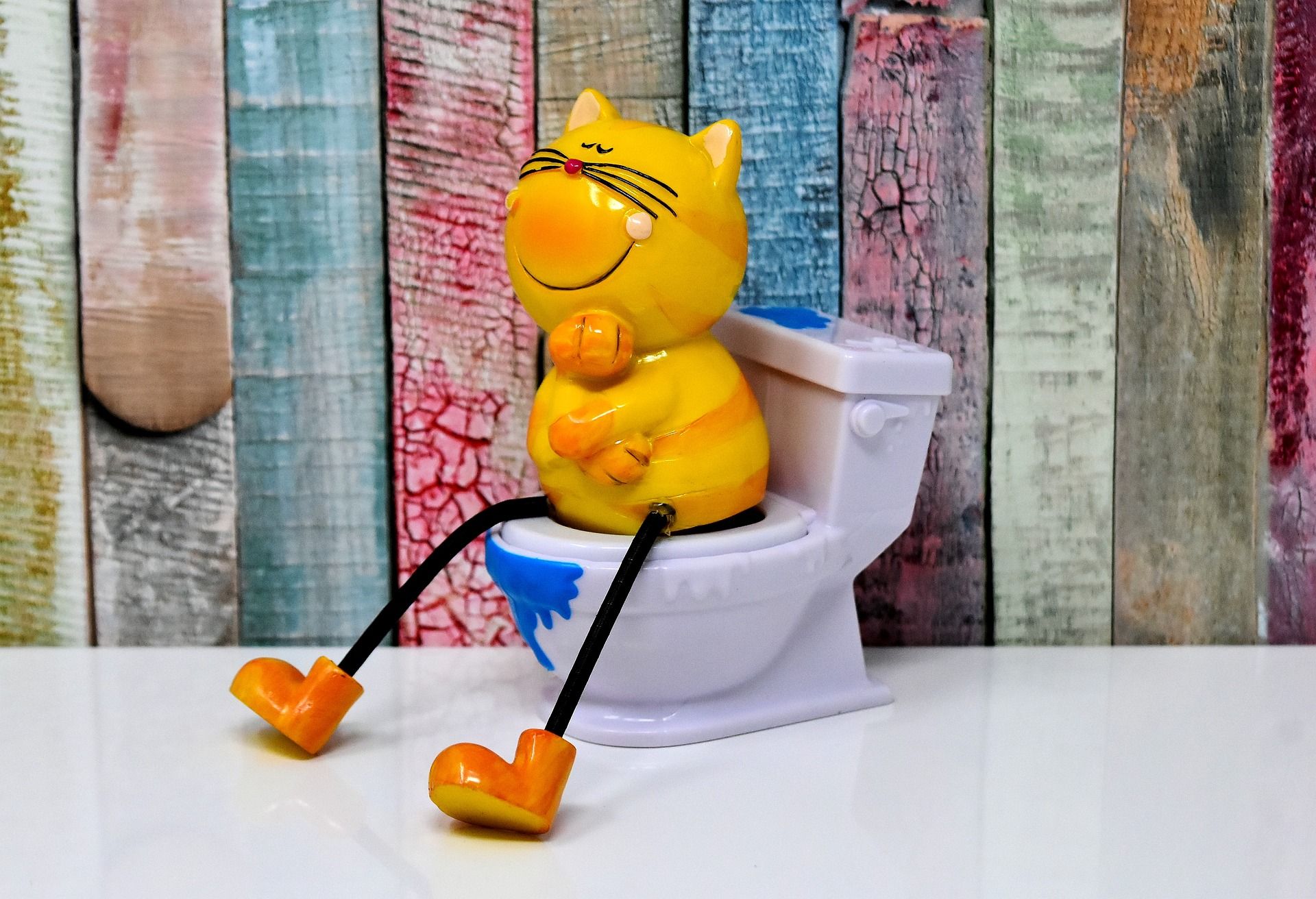 litter-box-3298240_1920.jpg