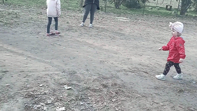 VID_20210412_155230-ANIMATION.gif