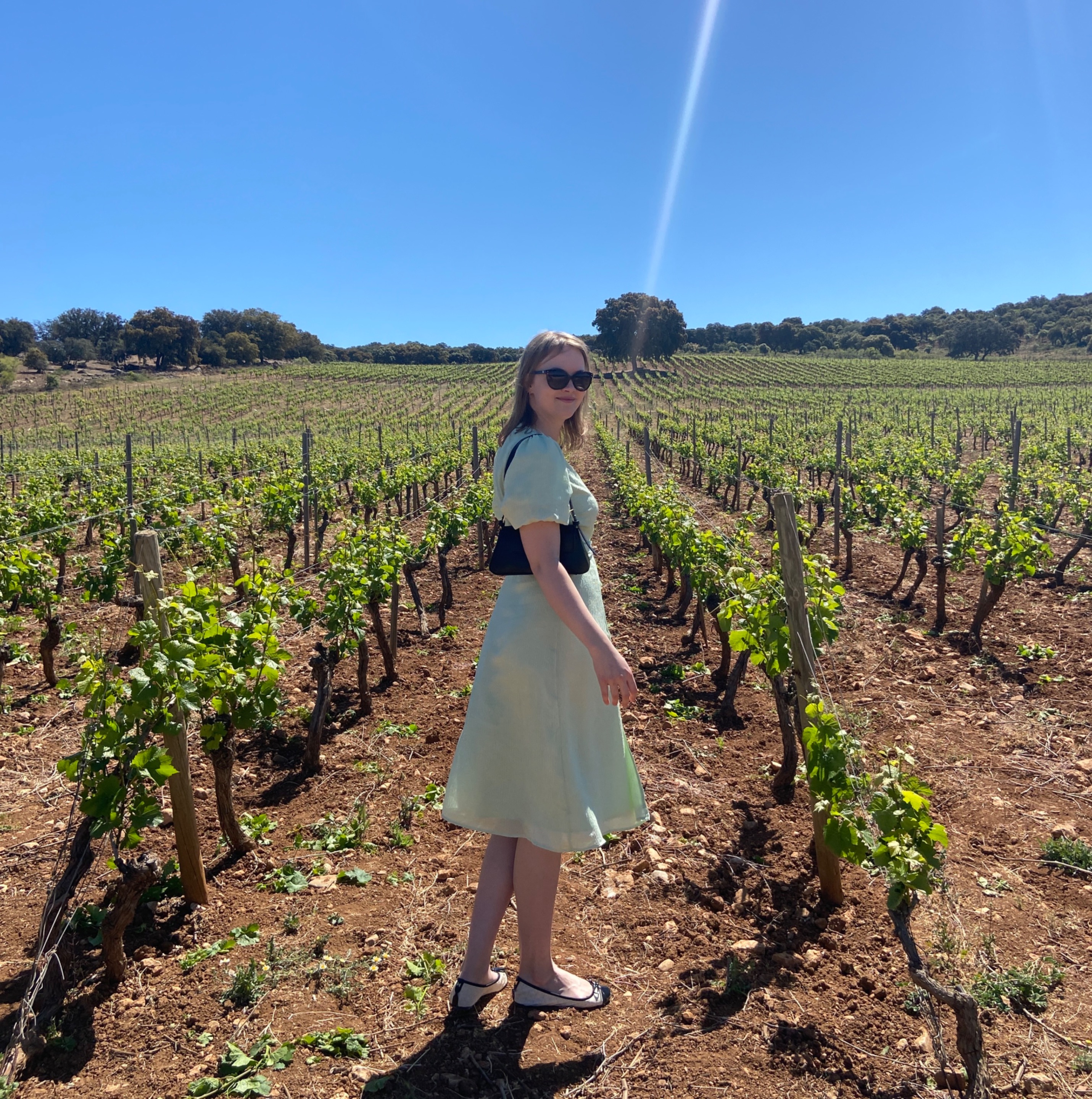 From the wine tasting in Spain, Ronda in May