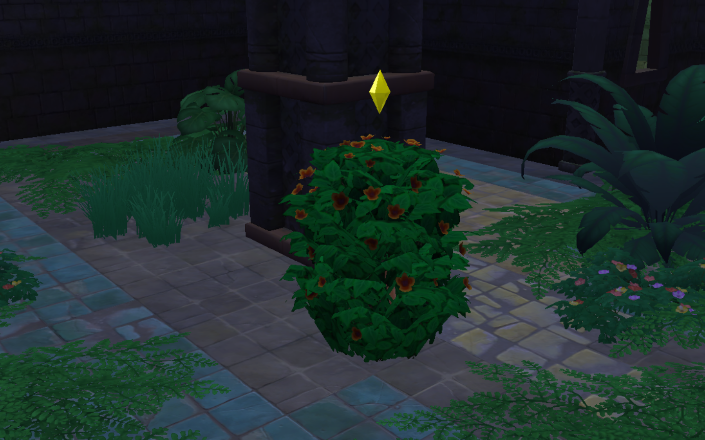 Bush