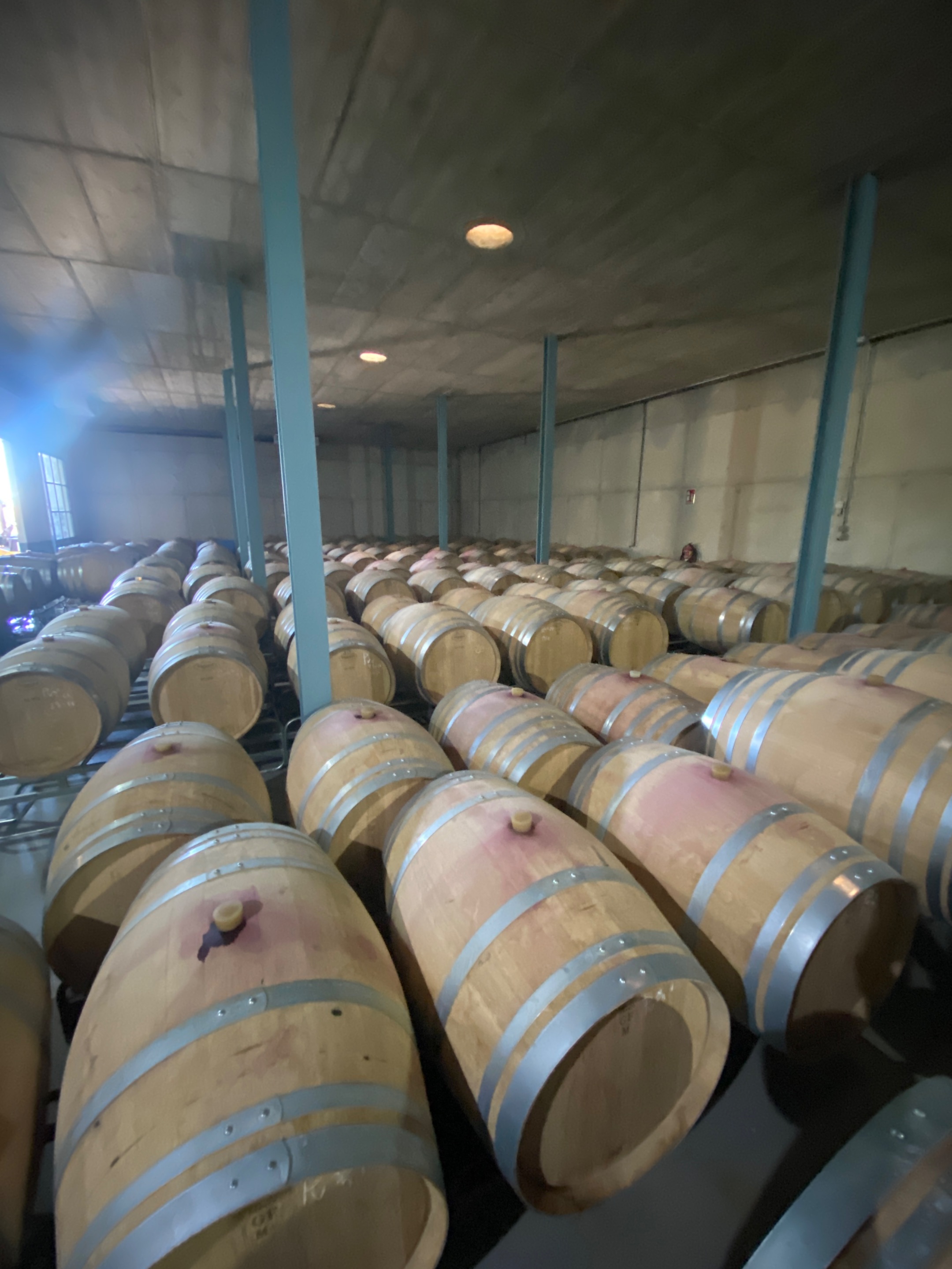 Wine in the making. 