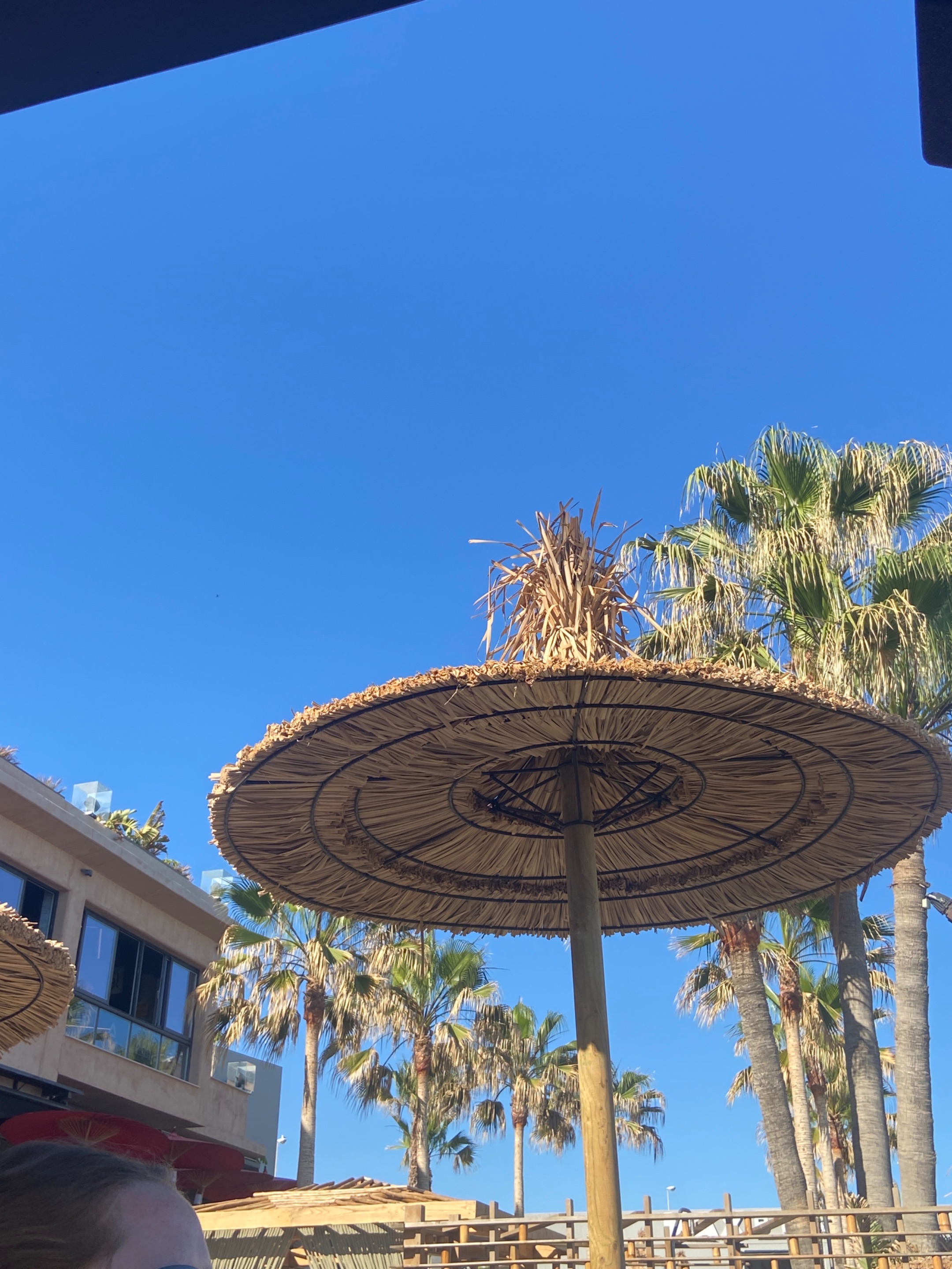 At the beach.