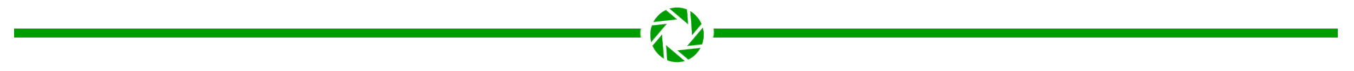 Separador-Obturador-Verde.png