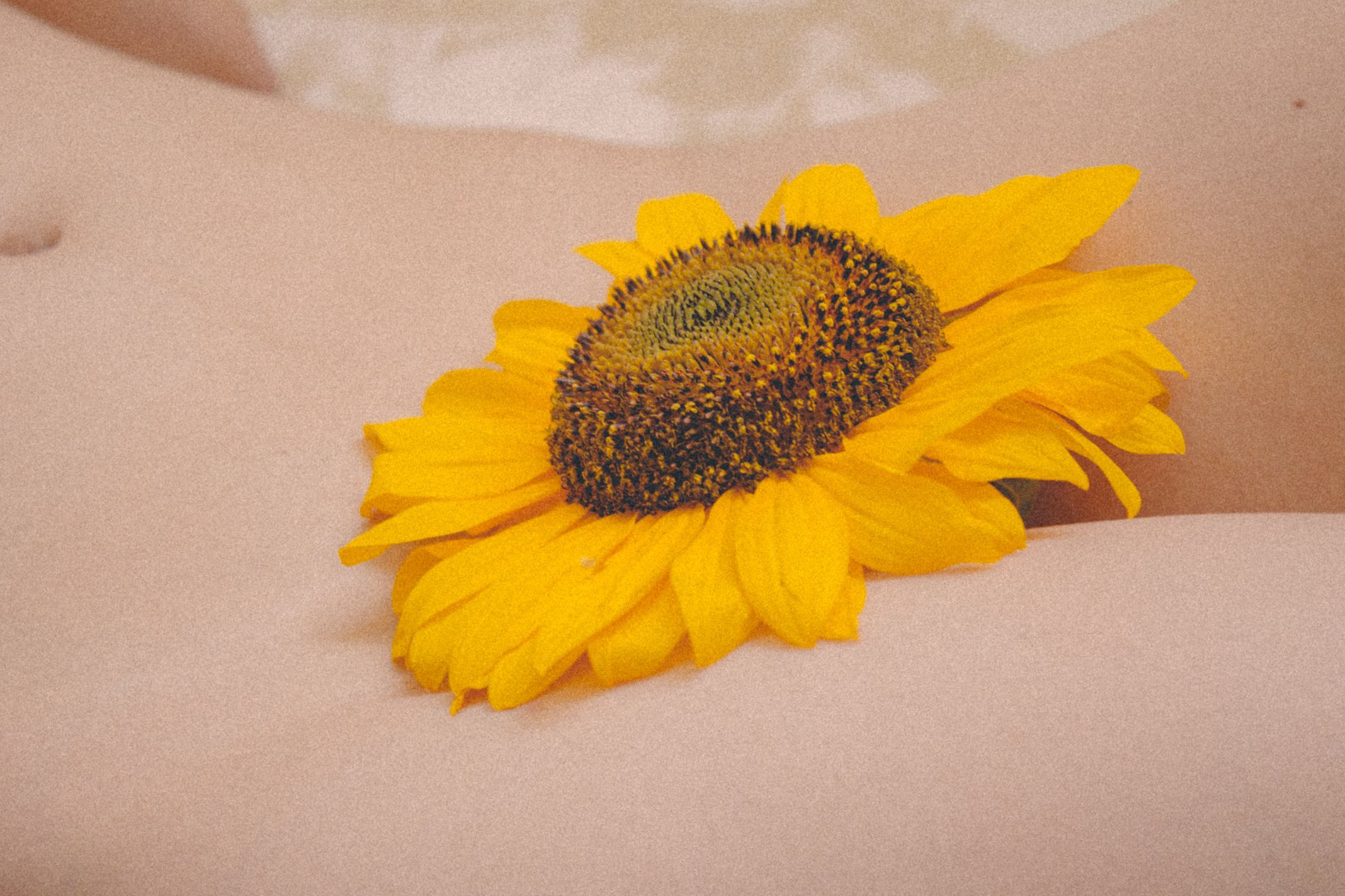 Flora Re-edit-14.JPG