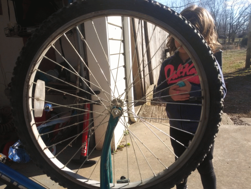 20220209_150752-ANIMATION.gif