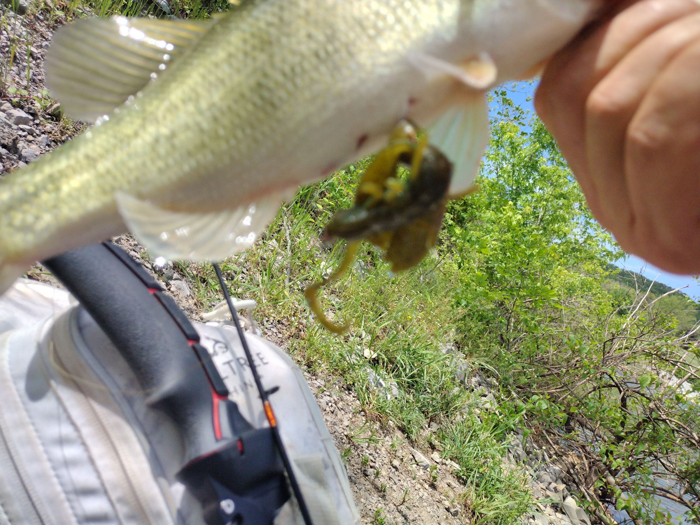 IMG_20240428_133317840.jpg