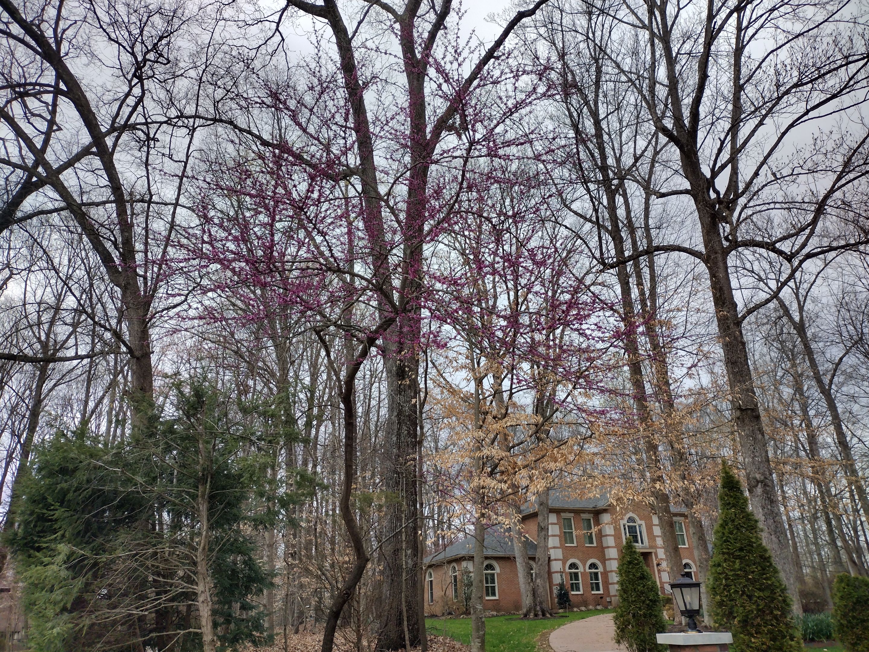 IMG_20230313_134839298_HDR.jpg