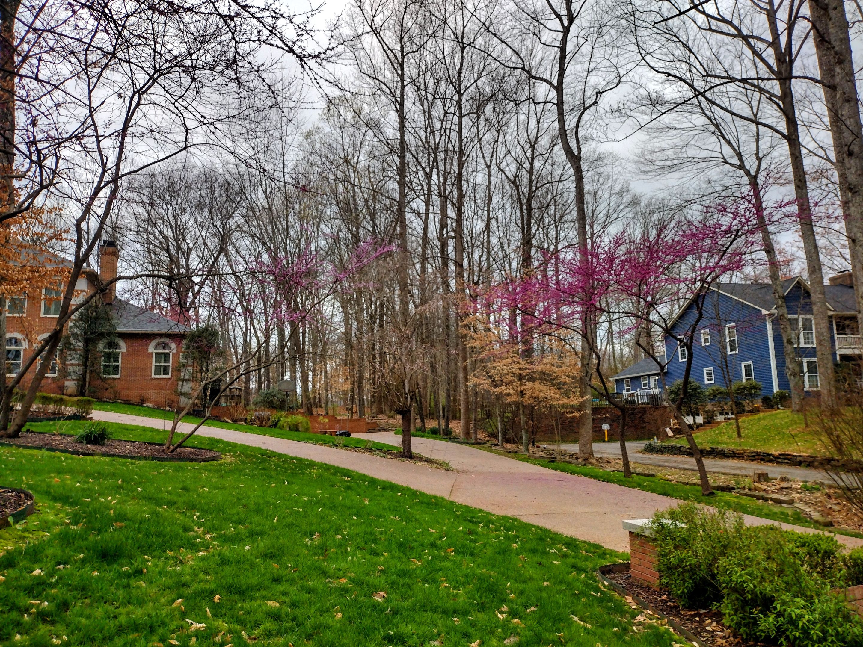 IMG_20230313_134949192_HDR~2.jpg