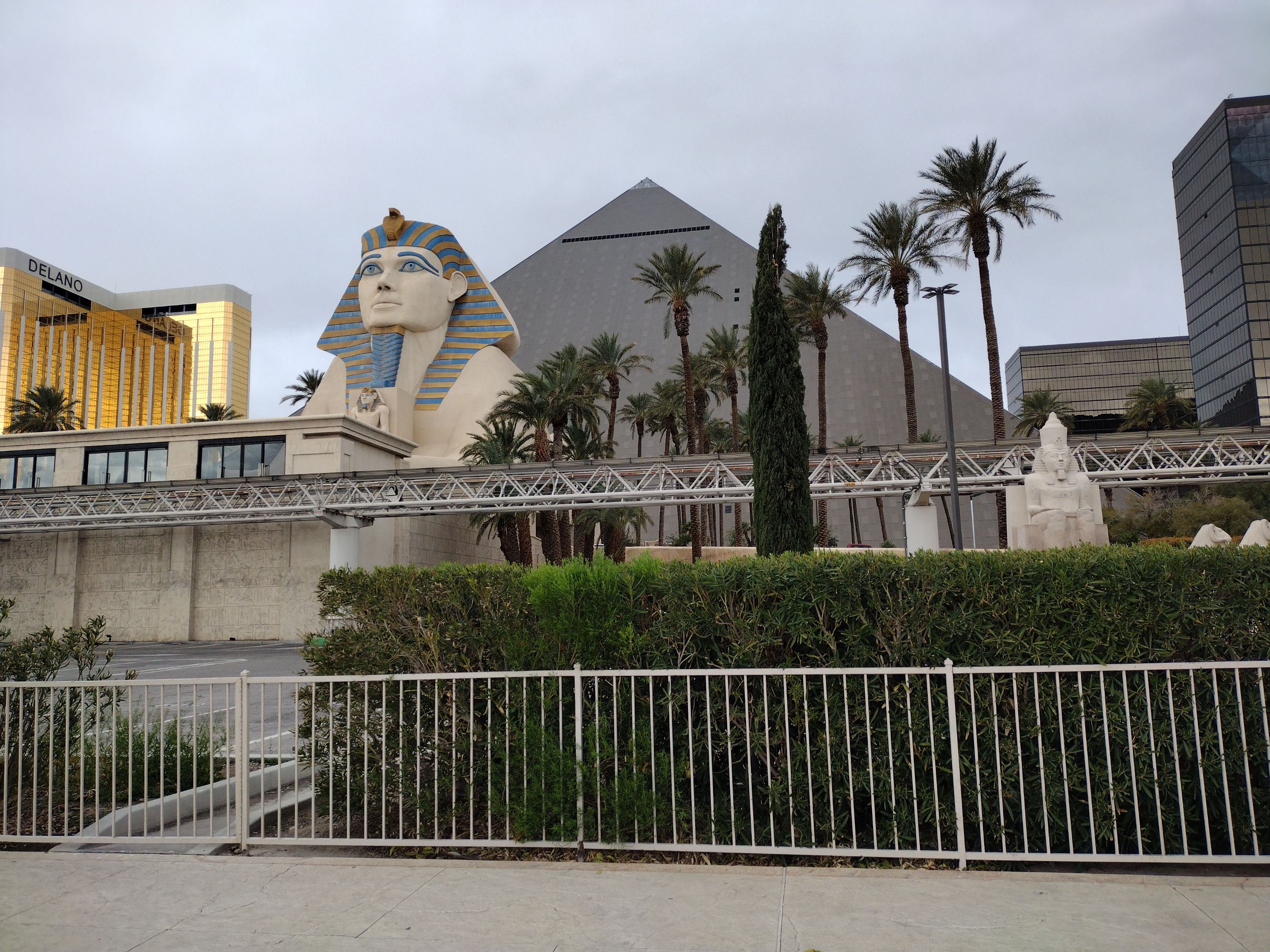 IMG_20240314_101010533.jpg