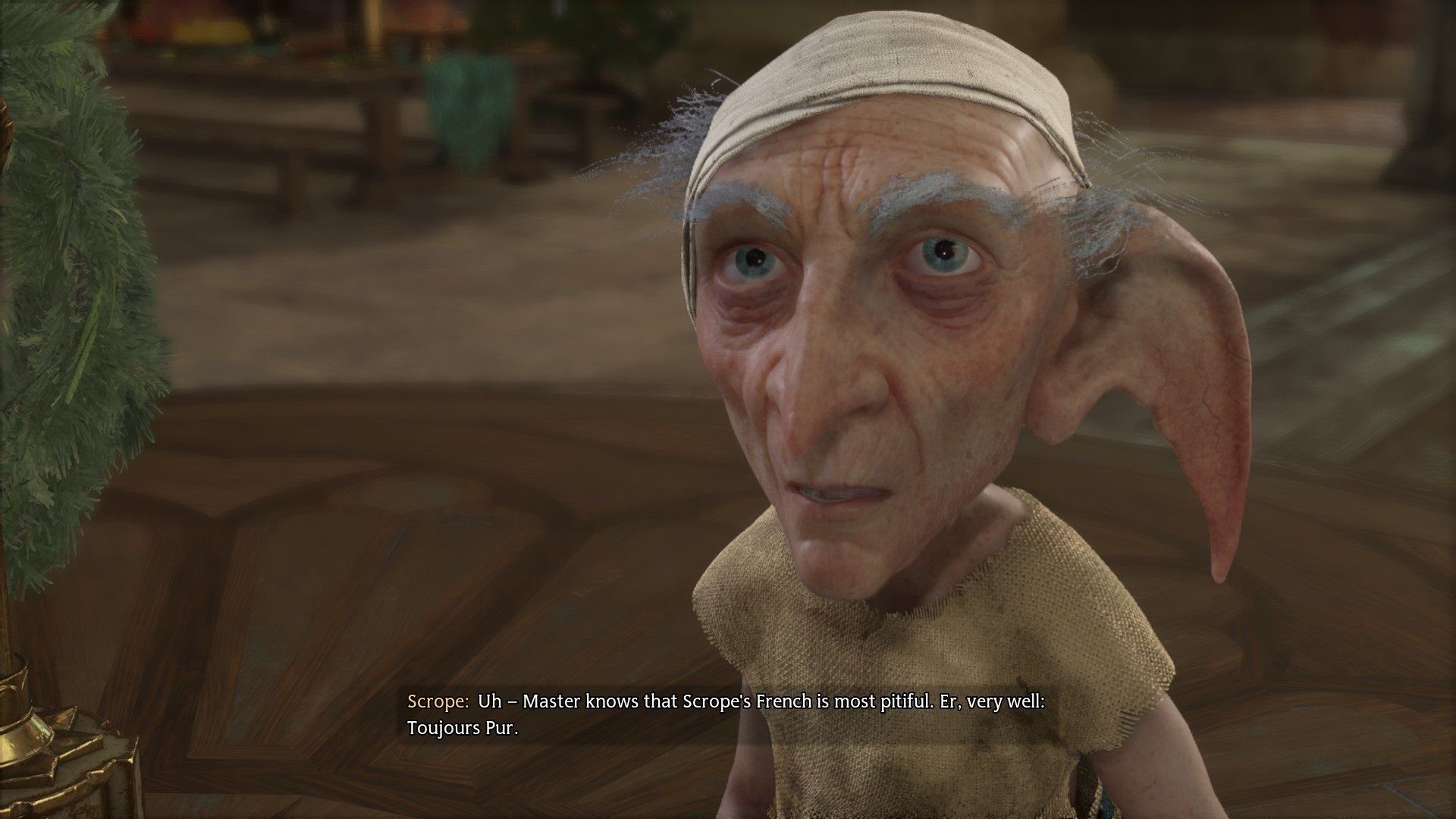 talking with the house elf named Scrope.jpg