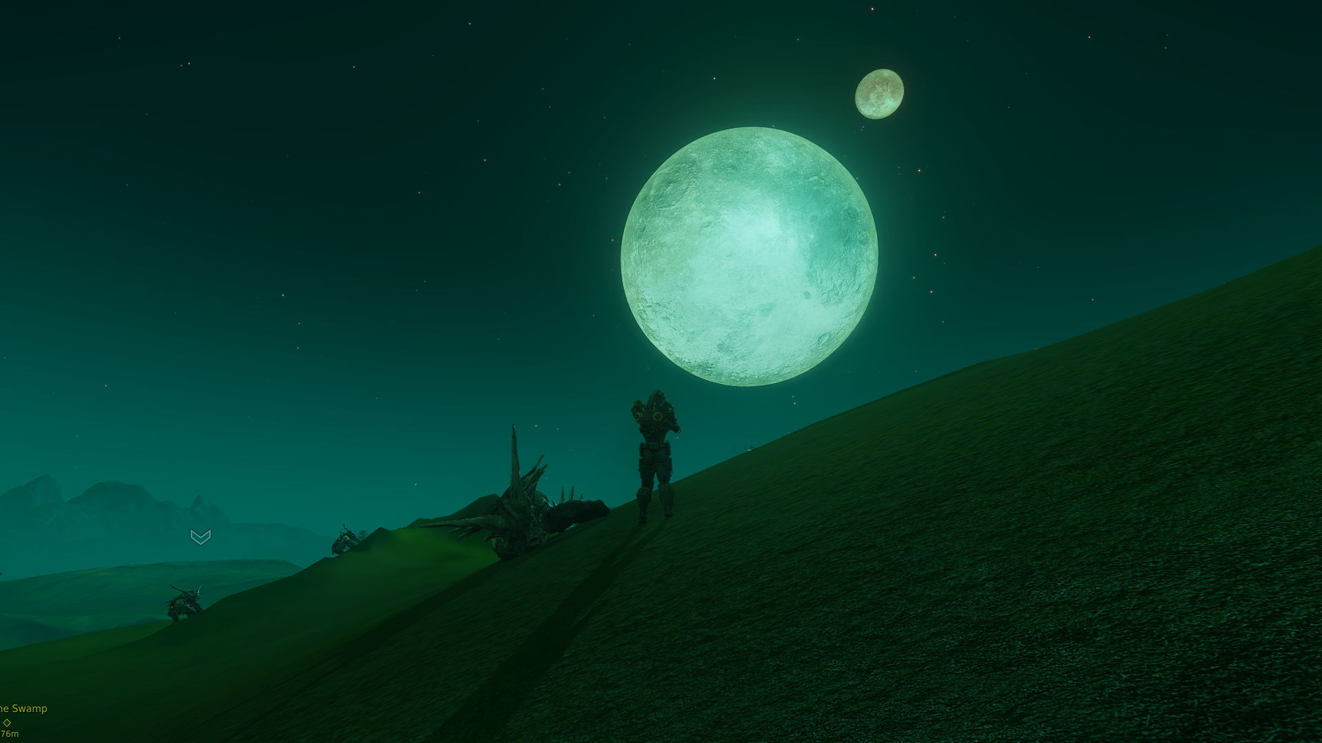 moon and the stars.png