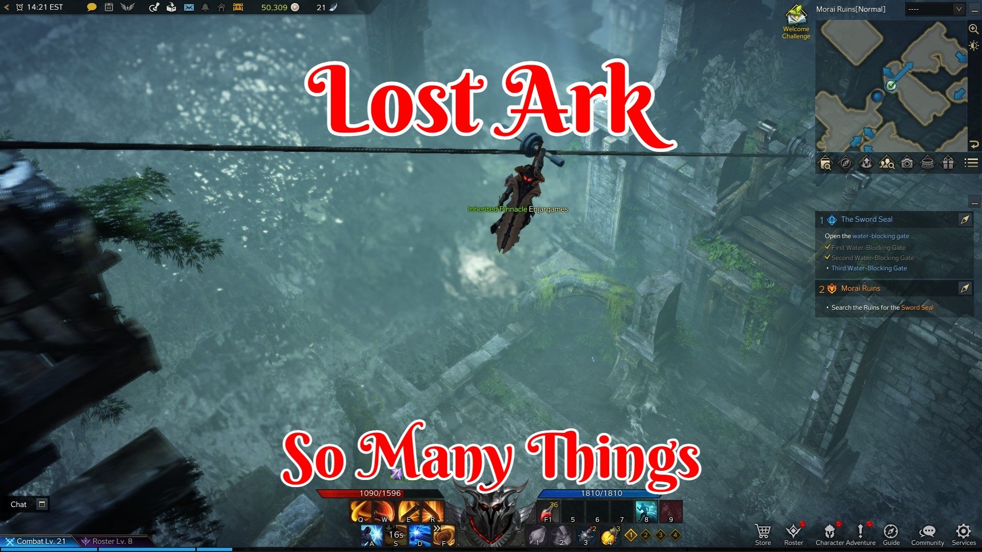 Lost Ark so many things.jpg