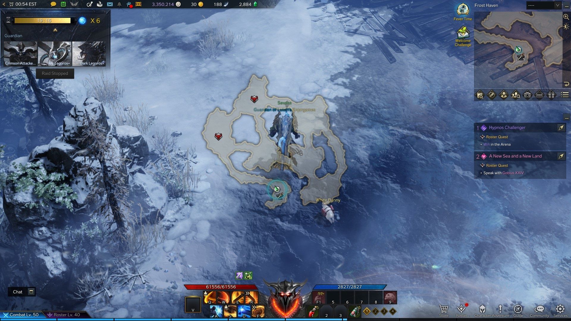 Using a flare on the map to show the location Guardian Raid Event Winter Illusion lost ark.jpg