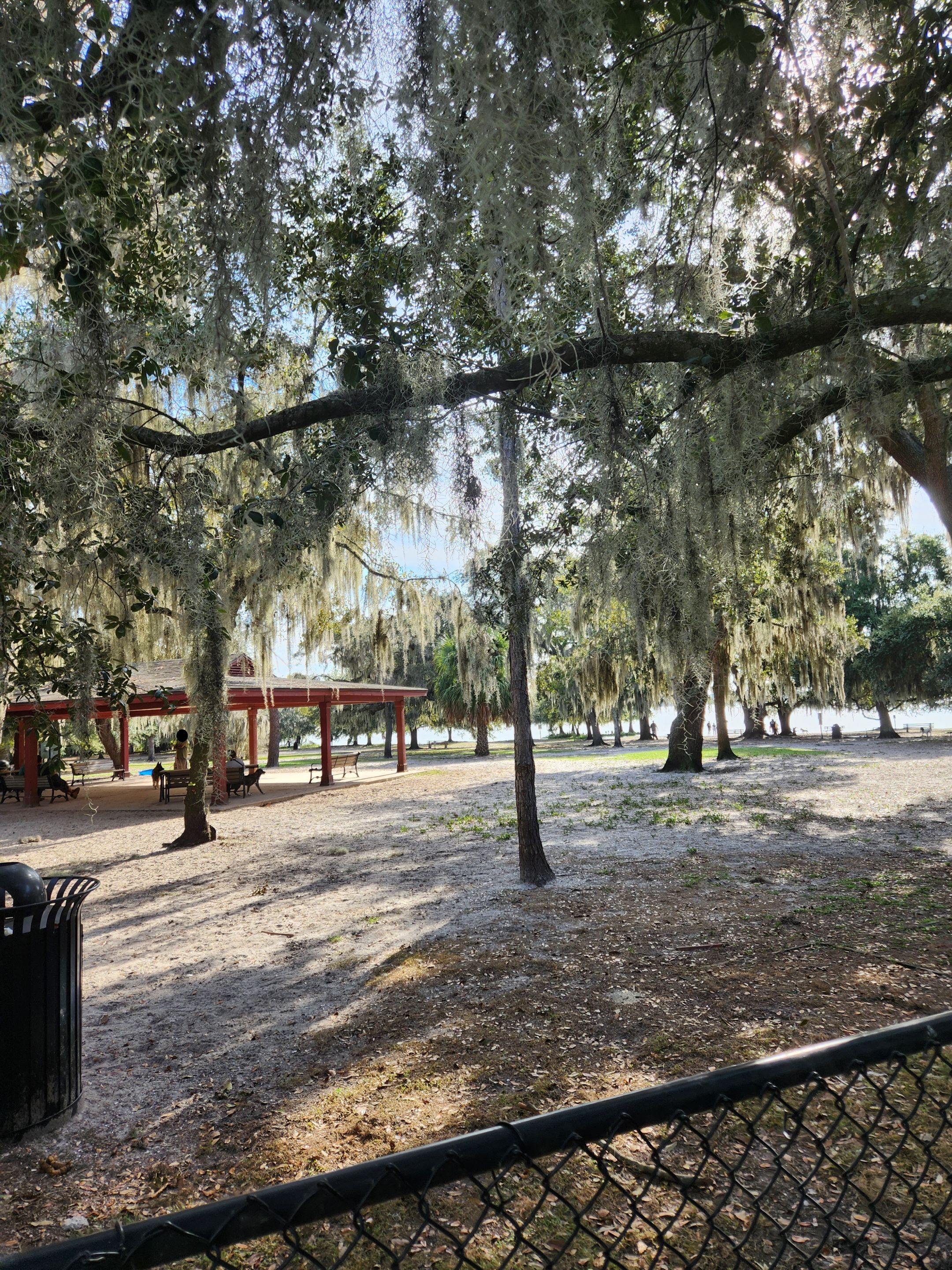 dog park.jpg