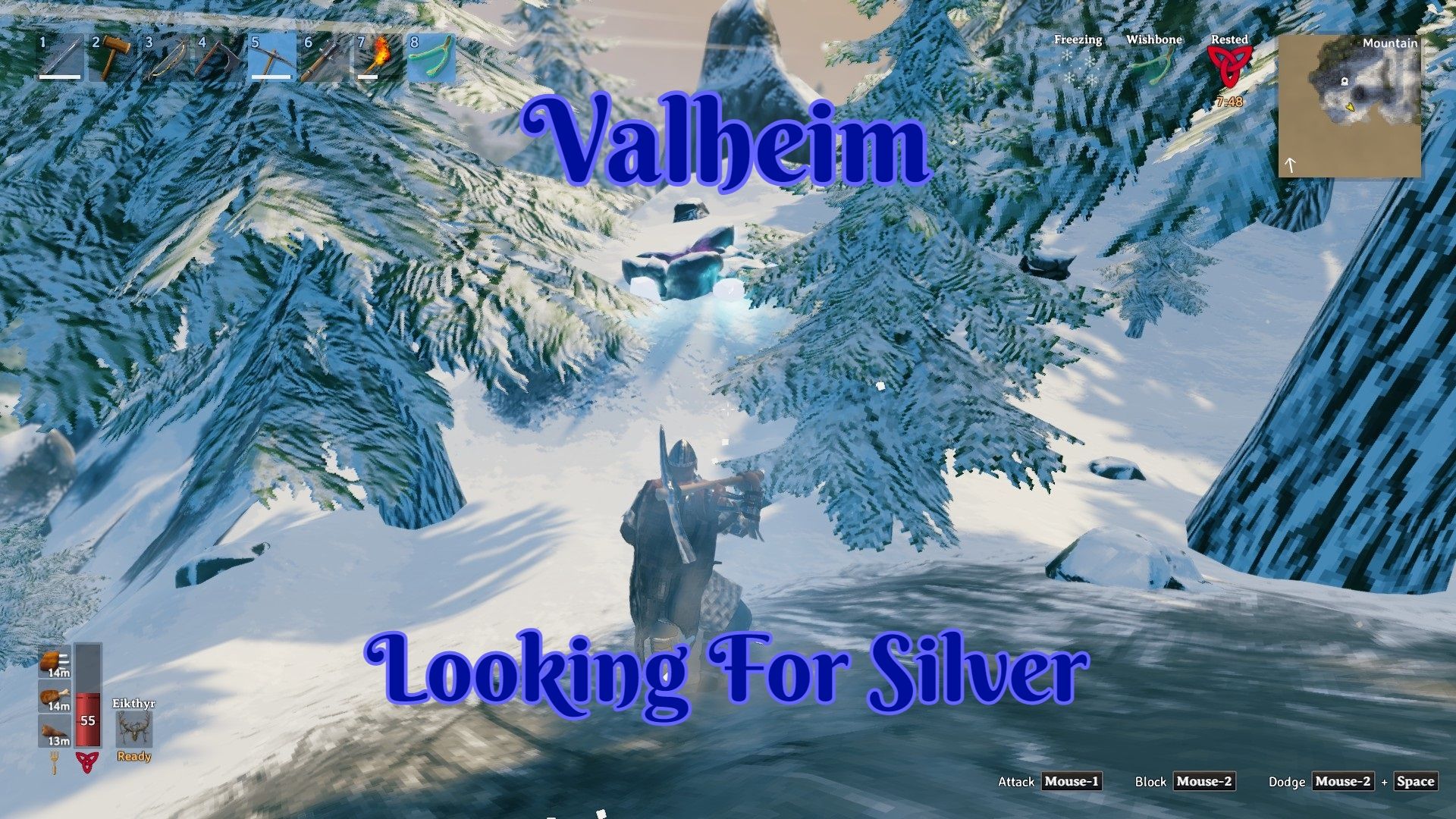 Looking For Silver.jpg