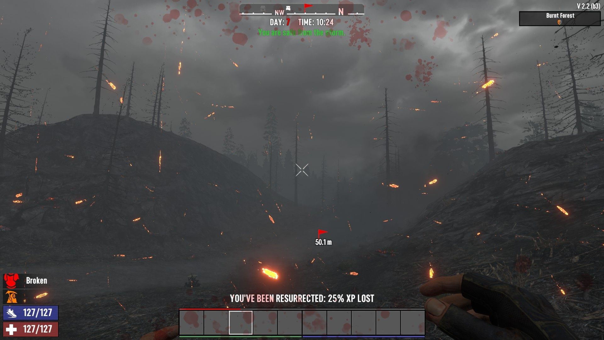 stuck in a storm in the burnt forest.jpg