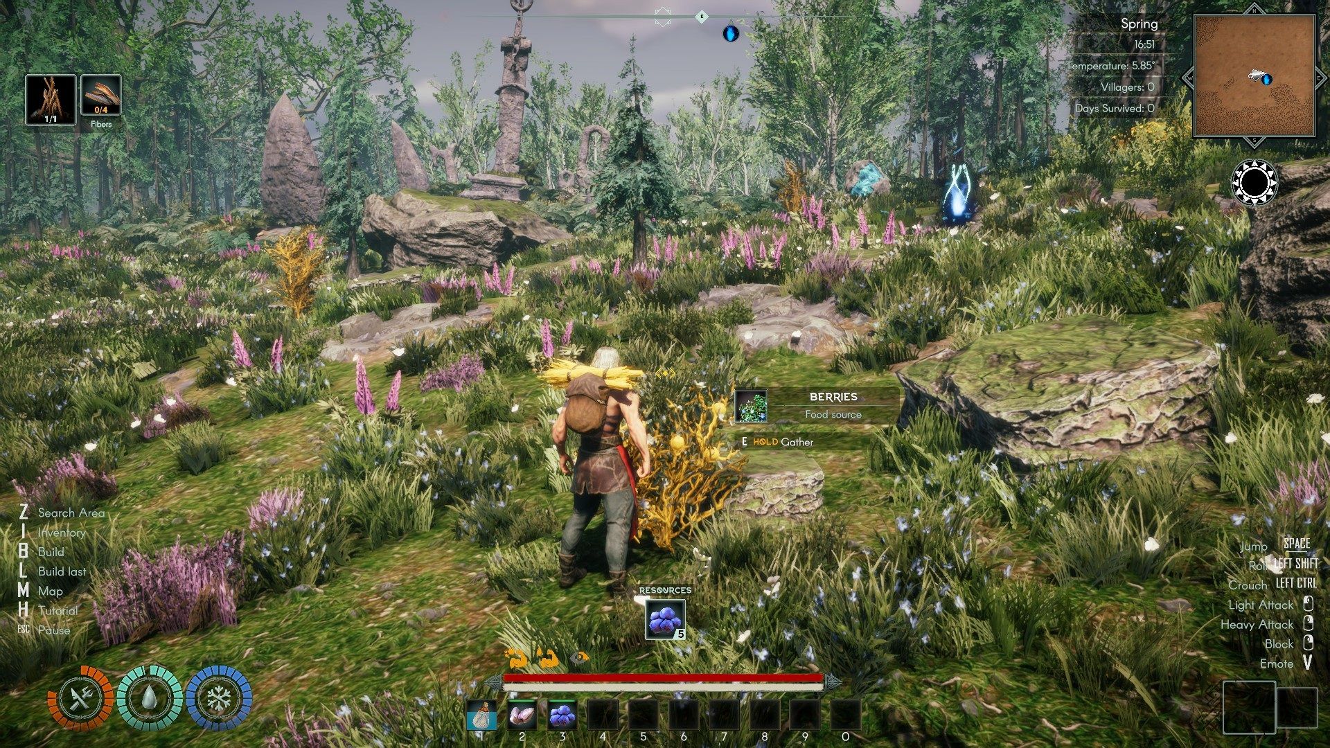 the first area.jpg