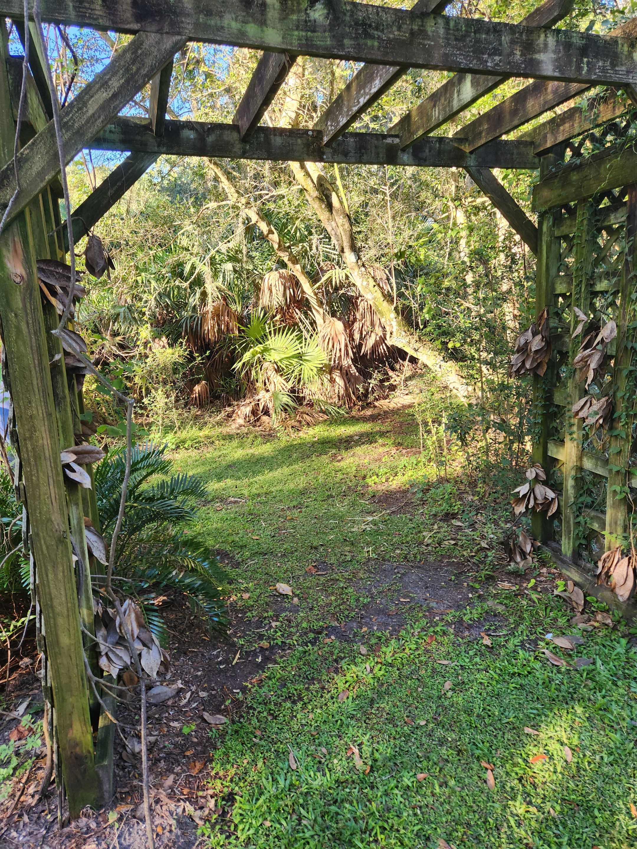 garden.jpg