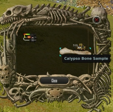 calypso bone sample.jpg