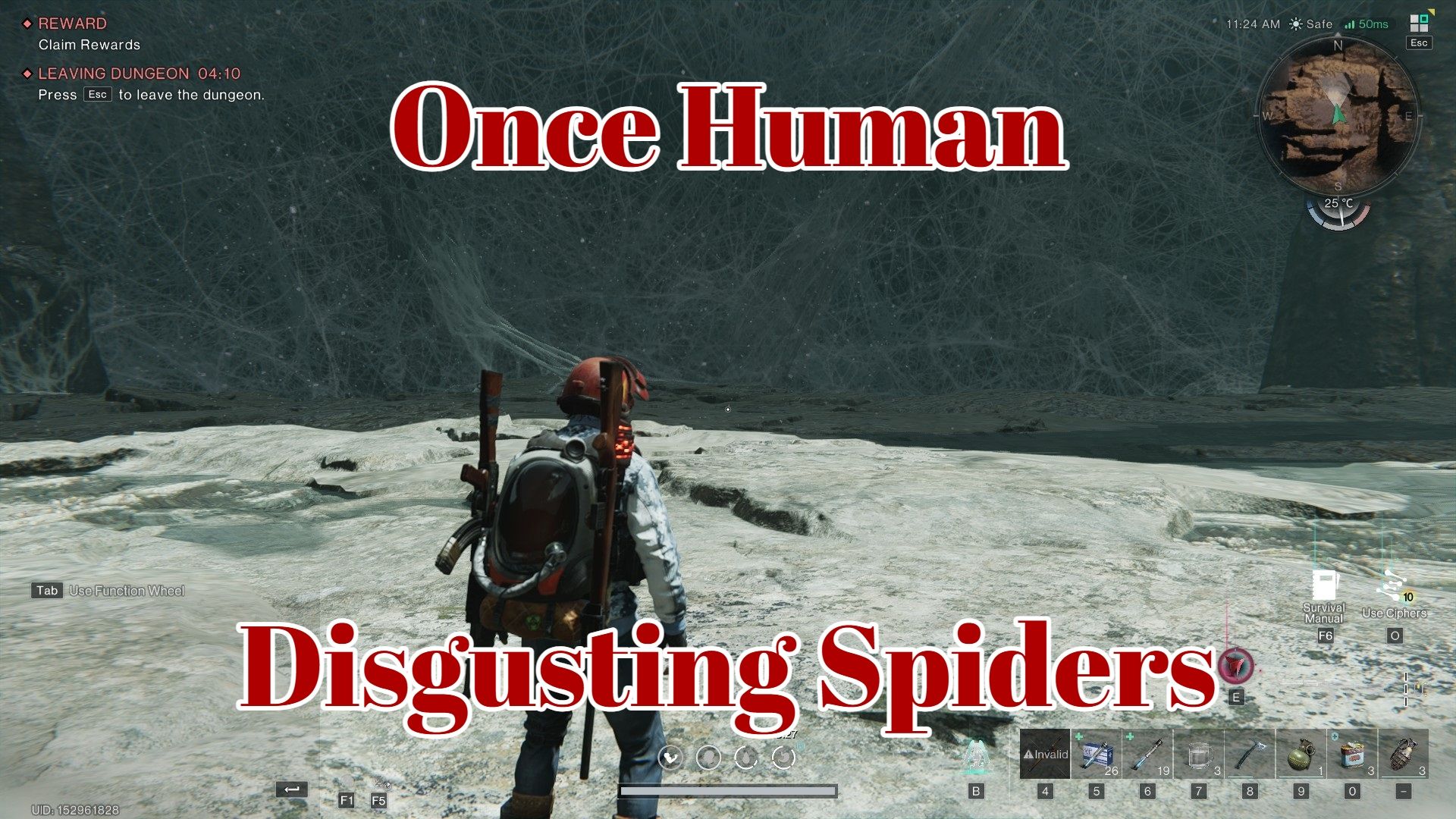 Disgusting Spiders.jpg