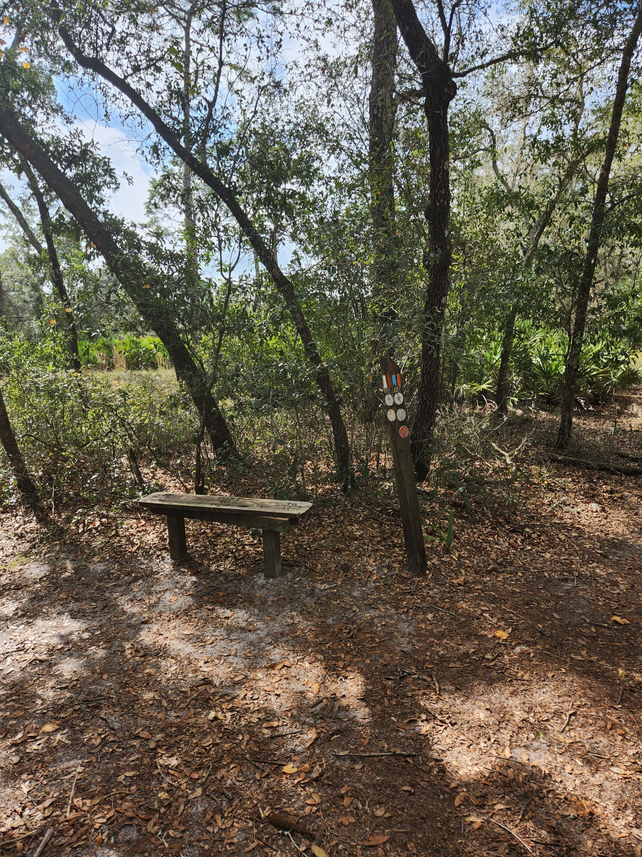 a fork in the road with a bench to rest at.jpg