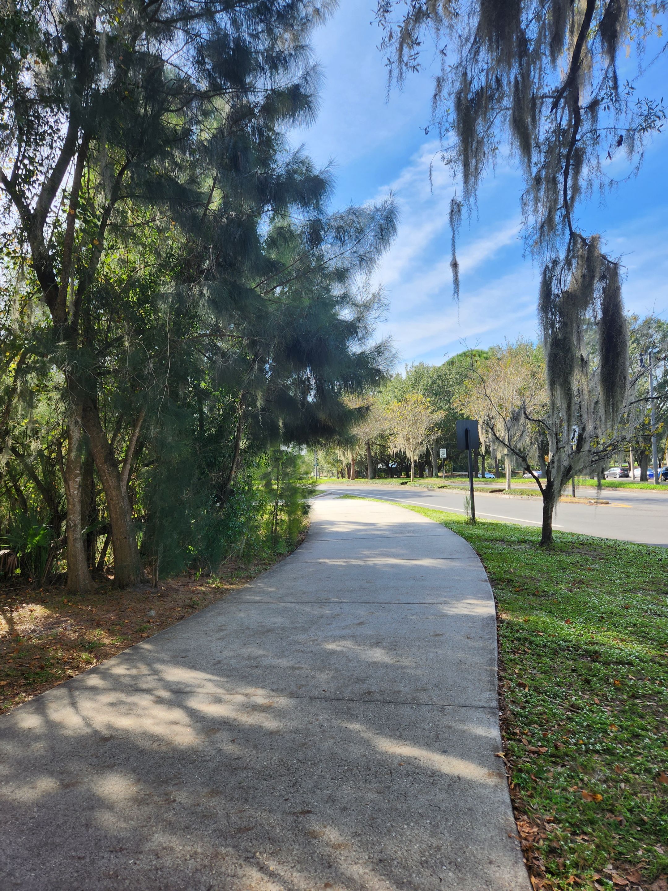 the start of the trail.jpg