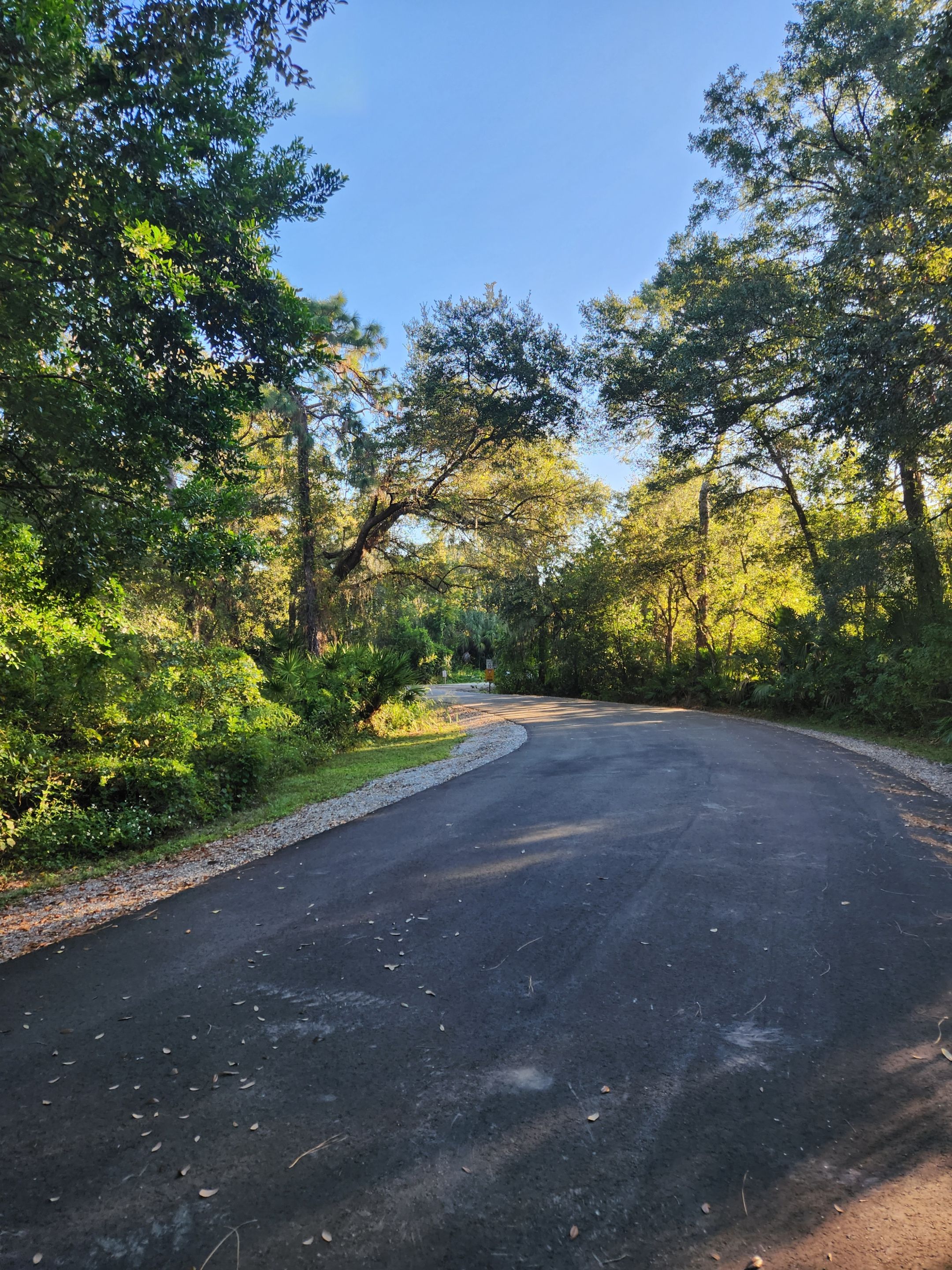 nice roadway.jpg